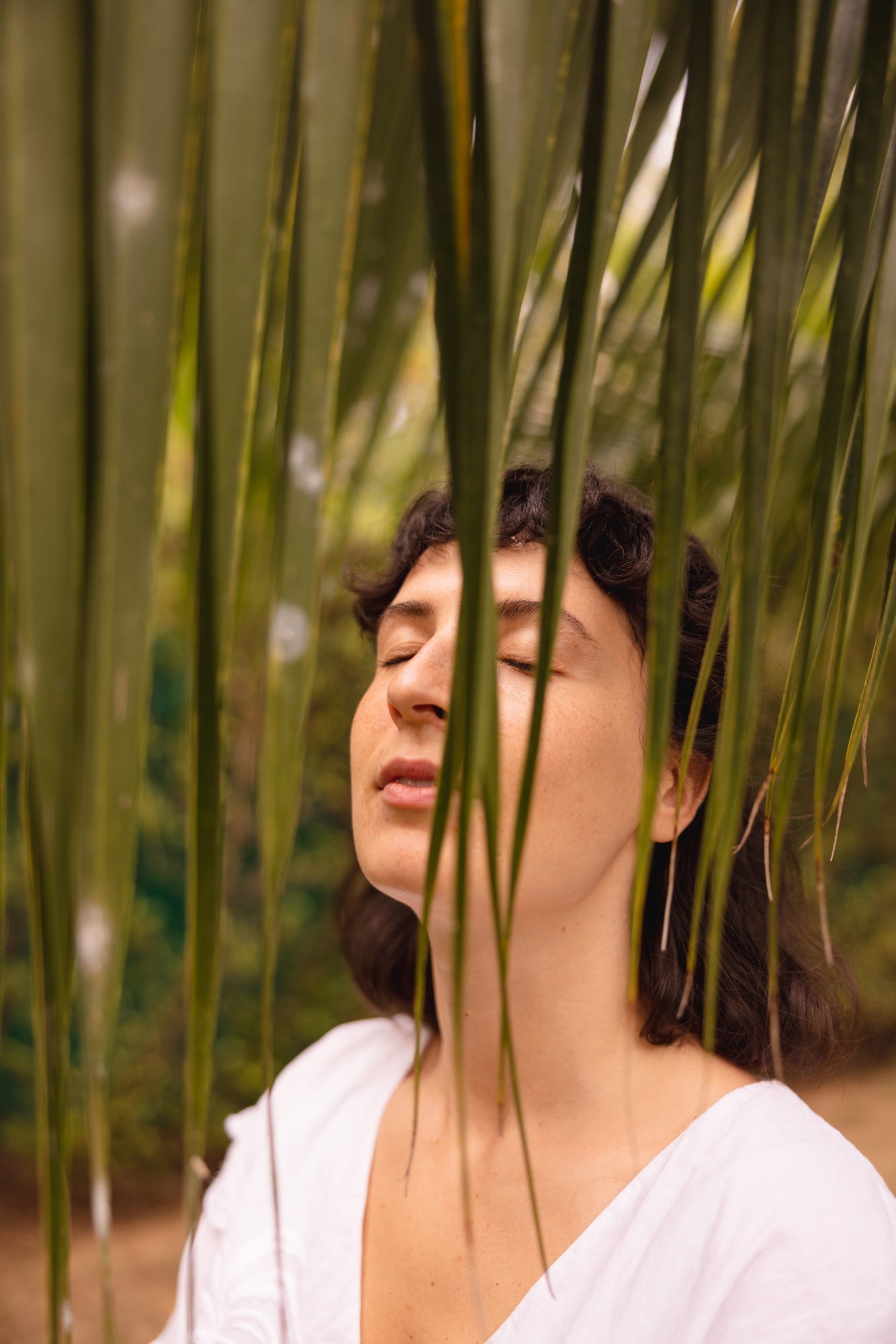 Was bedeutet Yang Sheng wirklich – und wie fördert es ganzheitliche Gesundheit?